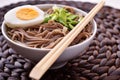 Soba noodle soup Royalty Free Stock Photo