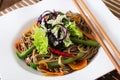 Soba noodles with beef, carrots, onions Royalty Free Stock Photo