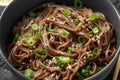 Soba noodles, buckwheat on a black bowl, with spring onion and sesame seeds. Traditional Japanese food. Royalty Free Stock Photo