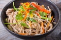 Soba wok noodles Royalty Free Stock Photo