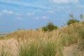 Sobieszewo Island - The coastal line of a sandy beach by the Baltic Sea on Sobieszewo island, Poland, overgrown with high grass Royalty Free Stock Photo