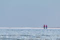 People on a walk on Sobieszewska Island. Winter landscape. Sobieszewska Island, North Poland