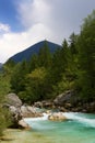 Majestic turquoise Soca river in the green forest, Bovec, Slovenia, Europe. Royalty Free Stock Photo