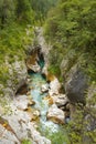 Soca river, Triglav National Park, Slovenia Royalty Free Stock Photo