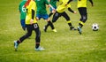 Soccer background. Players kicking soccer ball on green field Royalty Free Stock Photo