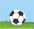 Soccer ball