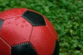 Soccer Ball Royalty Free Stock Photo