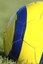 Soccer Ball Royalty Free Stock Photo