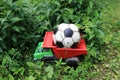 Soccer ball in back of toy truck Royalty Free Stock Photo