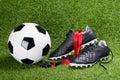 Soccer ball, boots and whistle for the referee, against the background of grass Royalty Free Stock Photo