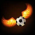 Soccer ball with burning wings.