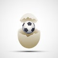 Soccer ball in a chicken egg. Stock .