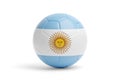 Soccer ball with the colors of the Argentine flag. 3d illustration