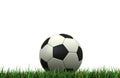 Soccer ball Royalty Free Stock Photo