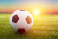 Soccer ball on the field Royalty Free Stock Photo