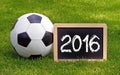 2016 soccer ball and field Royalty Free Stock Photo