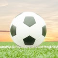 Soccer ball Royalty Free Stock Photo