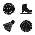 A soccer ball, figure skating skates, a shuttlecock for a badminton, a ball for volleyball. Sport set collection icons Royalty Free Stock Photo