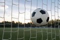 Soccer ball flies into goal on field, capturing moment of victory and achievement Royalty Free Stock Photo