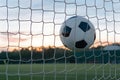 Soccer ball flies into goal on field, capturing moment of victory and achievement Royalty Free Stock Photo