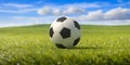 Soccer ball, football close up view, green grass field, blue sky background. 3d illustration Royalty Free Stock Photo