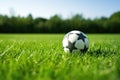 soccer ball on a freshly mowed grass field Royalty Free Stock Photo
