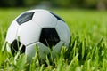 Soccer Ball Futbol on Grass Royalty Free Stock Photo