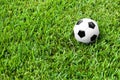Soccer Ball Futbol on Grass Royalty Free Stock Photo