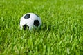 Soccer Ball Futbol on Grass Royalty Free Stock Photo