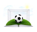 Soccer ball and gate on an open white book Royalty Free Stock Photo