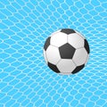 Soccer ball in goal. Vector.