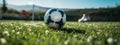 soccer ball with goalie on grassy field Royalty Free Stock Photo