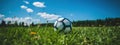 soccer ball with goalie on grassy field Royalty Free Stock Photo