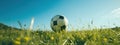 soccer ball with goalie on grassy field Royalty Free Stock Photo