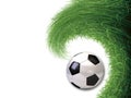 Soccer ball in grass background Royalty Free Stock Photo