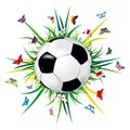 Soccer ball on grass background and butterflies with flags of the countries