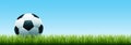 Soccer ball in the grass. Banner of soccer ball on green grass. Royalty Free Stock Photo