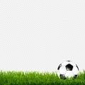 Soccer Ball With Grass Border Transparent Background Royalty Free Stock Photo