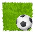 Soccer ball on grass field background. football theme Royalty Free Stock Photo