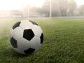 Soccer ball on a grass football field, under the sunset Royalty Free Stock Photo