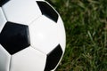 Soccer ball on grass lawn close up Royalty Free Stock Photo