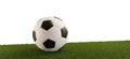 Soccer ball on grass panorama isolated white background 3d-illustration Royalty Free Stock Photo