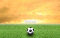 Soccer ball on grass sunset Royalty Free Stock Photo