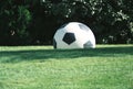 Soccer ball on grassy field