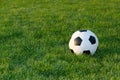 Soccer ball on green grass Royalty Free Stock Photo