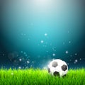 Soccer ball on green grass