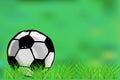 Soccer ball on green grass background. Football concept. Royalty Free Stock Photo