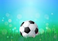 Soccer ball on green grass. Blue sky and green grass nature backdrop. Bokeh vector background Royalty Free Stock Photo