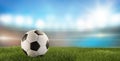 Soccer ball green grass 3d-illustration soccer stadium Royalty Free Stock Photo