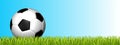 Soccer Ball On Green Grass Field - 3D Illustration With Copy Space - Isolated On Blue And White Gradient Background Royalty Free Stock Photo